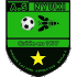 Logo Nyuki