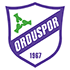 Logo Orduspor