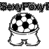 Logo Poexyt