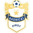 Logo Radnicki Pirot