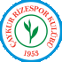 Logo Rizespor