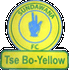 Logo Sandawana FC