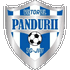 Logo Viitorul Pandurii Targu Jiu