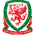 Logo Wales U19 (Vrouwen)