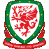 Logo Wales (Vrouwen)