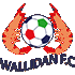 Logo Wallidan