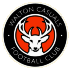 Logo Walton Casuals