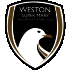 Logo Weston Super Mare