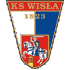 Logo Wisla Pulawy