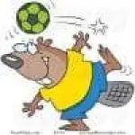 Avatar debever