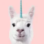 Avatar unicornbet