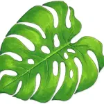 Avatar Sansan